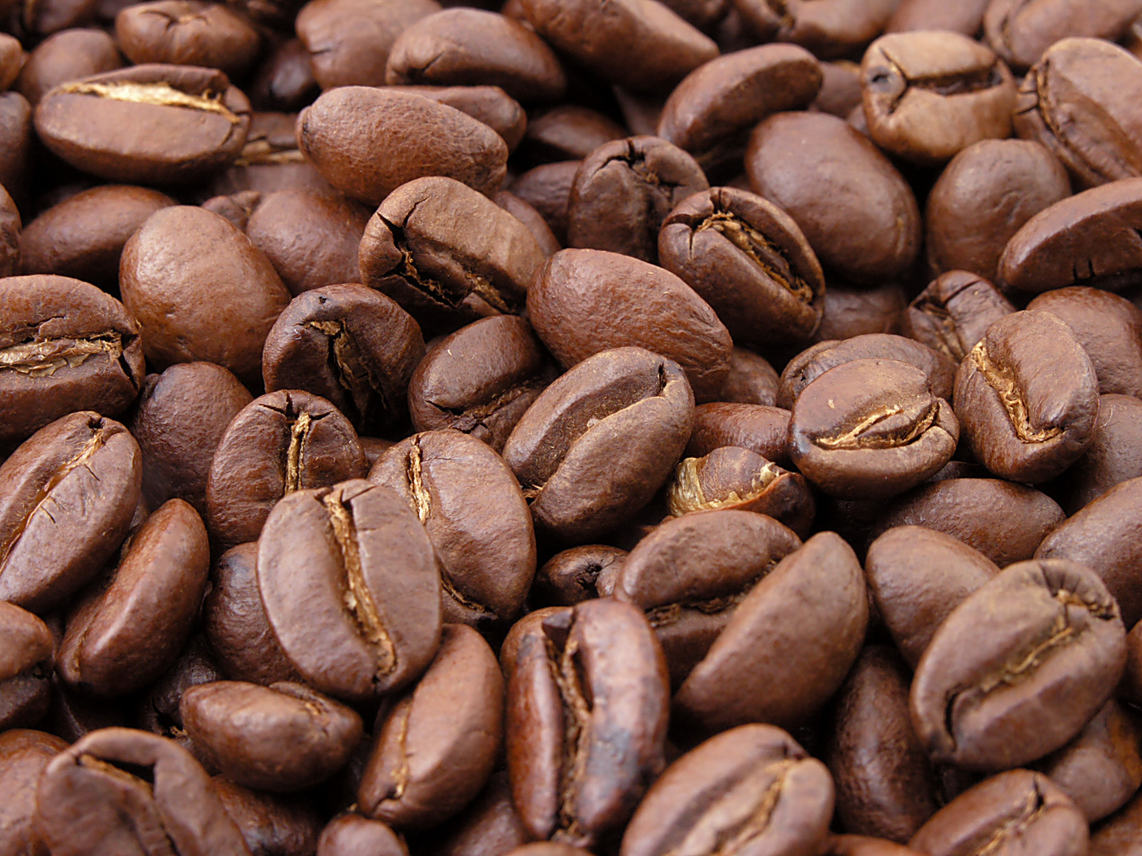 Café Copán Bourbon Lavado 340g